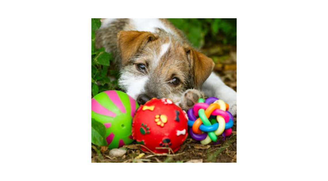 best selling dog toys
